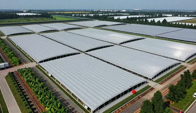 信息核查中报告生成的适用情况与限制分析